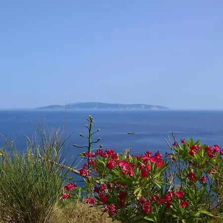 Appartement Kefalonia - Marias In *